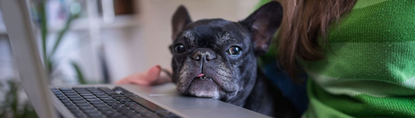 24 Lessons We've Learned from 1 Year of Working Remotely