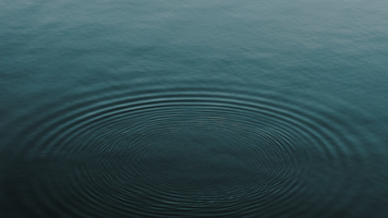 Wellness at Opal: Mental, Physical & Emotional