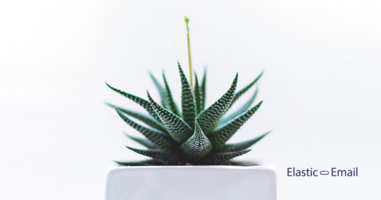 How email marketing can change your business growth in 2019