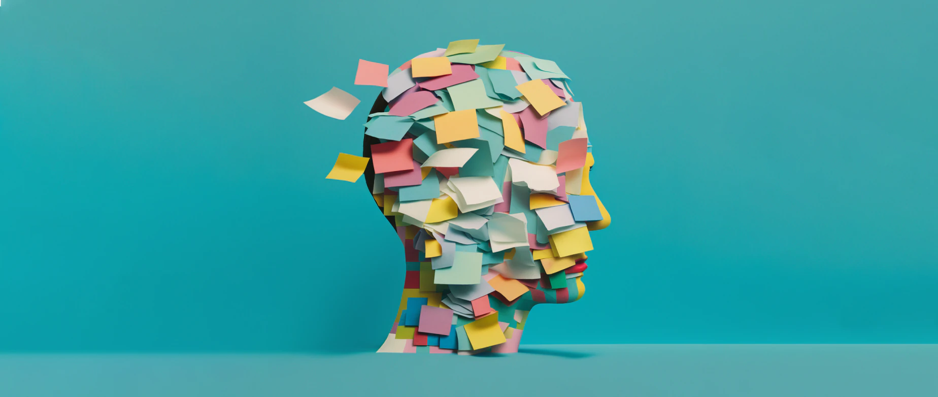 What Is a Sole Proprietor? Definition + Guide (2023)