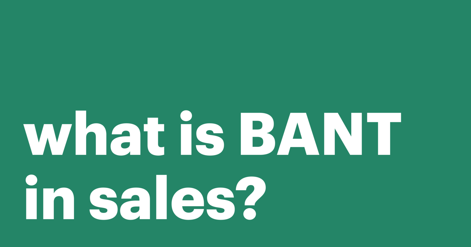 What is BANT in sales?