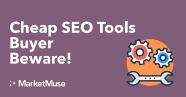Cheap SEO Tools - Buyer Beware!