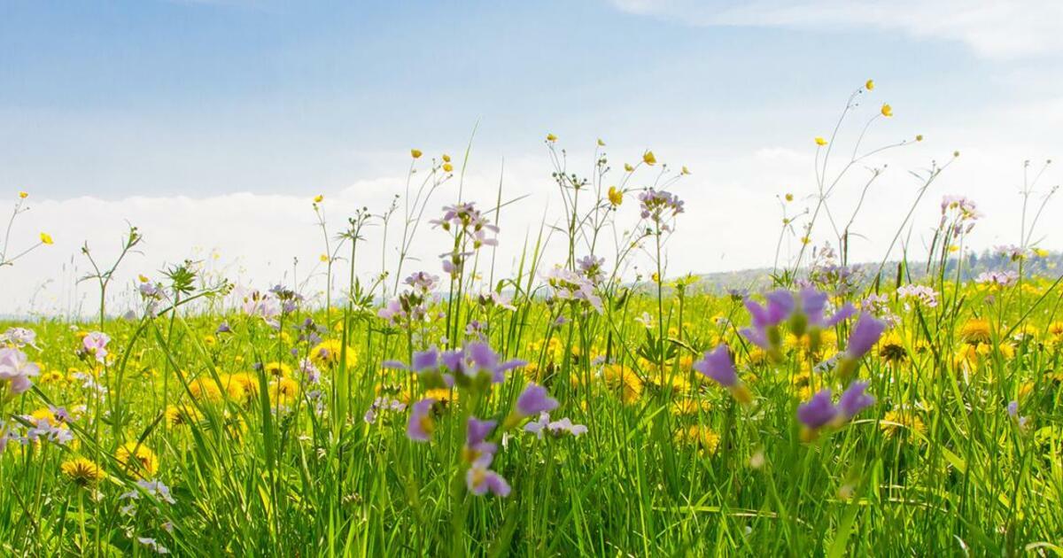 EZ Texting Execs Encourage Tomorrow's Leaders to Adopt Growth Mindset