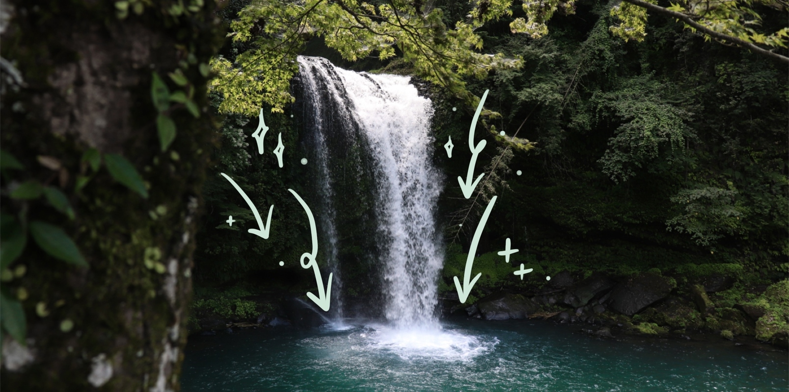 4 ways creators invest in their business to help them scale