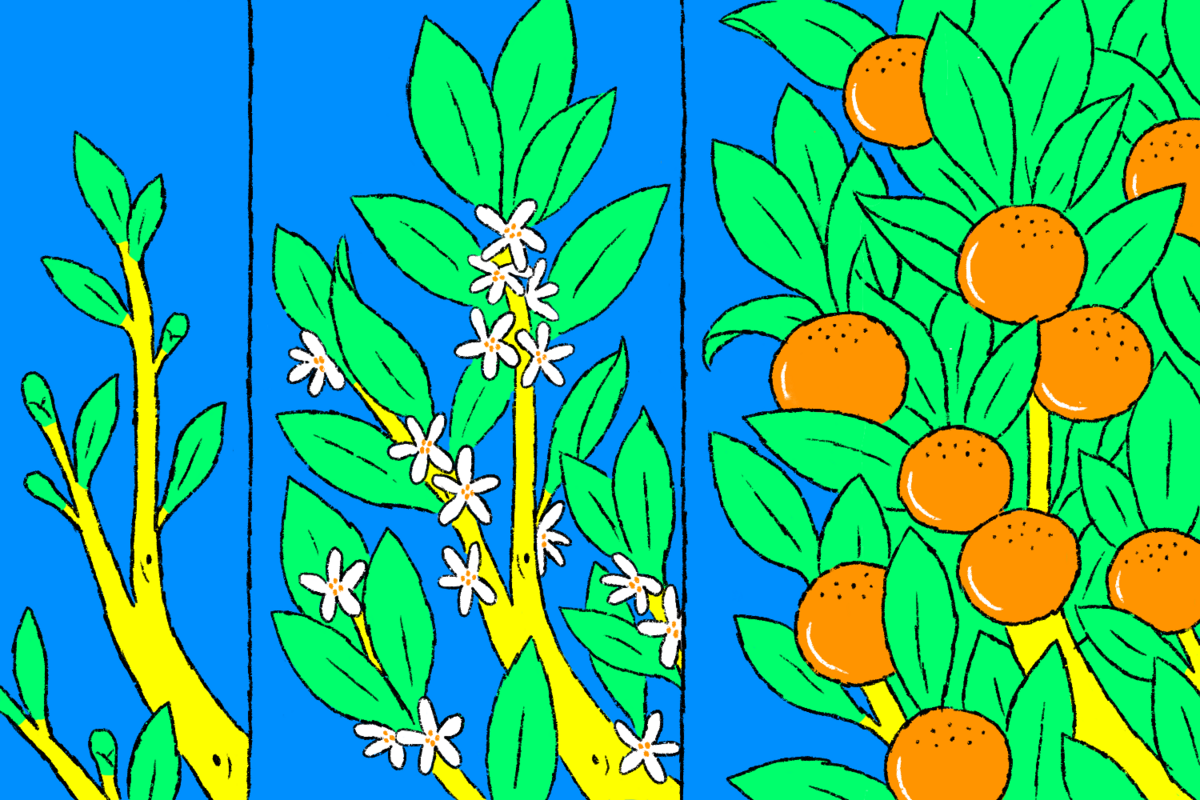 How Agencies Can Increase Agility and Collaboration