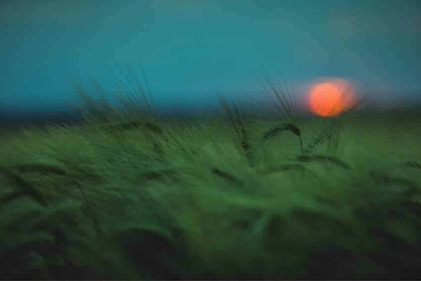 Onsite, virtual or hybrid? Which event is right for you