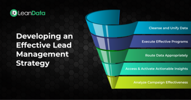 Developing an Effective B2B Lead Management Strategy | LeanData