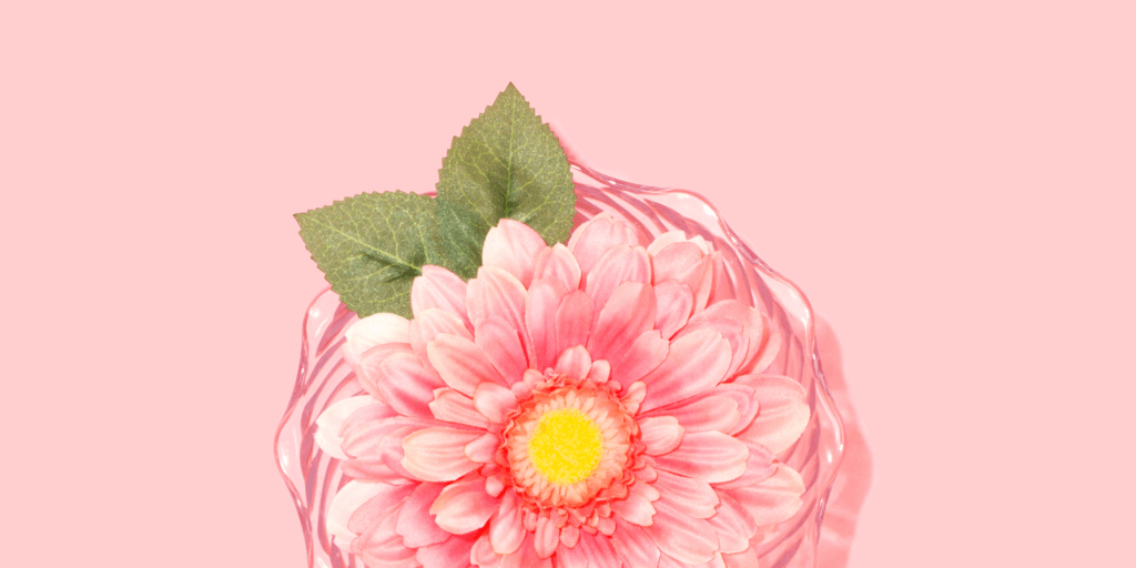 How to Grow Your Website Traffic - With Pinterest!