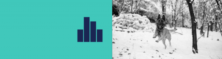 Bounce No More: 10 Easy Ways to Reduce Your Bounce Rate