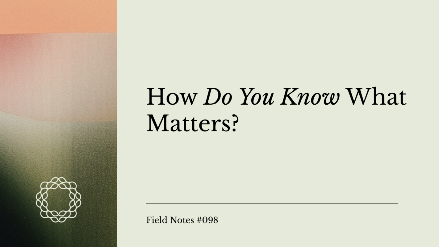 Field Notes #098: How Do You Know What Matters?
