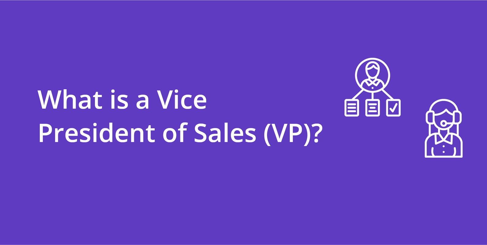 Vice President of Sales (VP)