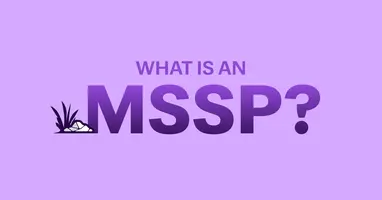 Managed security service provider (MSSP): Everything you need to know