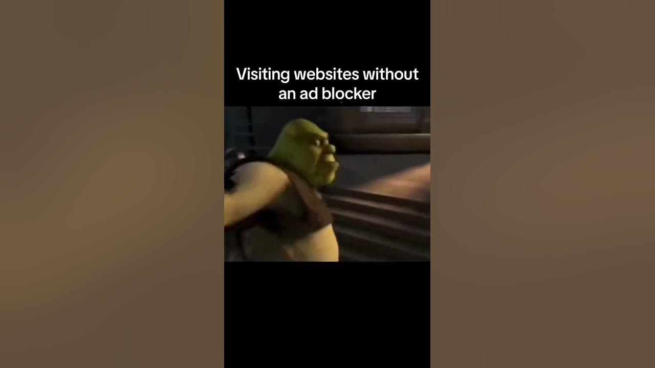 Browsing Without an Ad Blocker