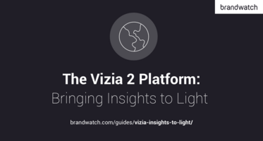 The Vizia Platform: Bringing Insights to Light