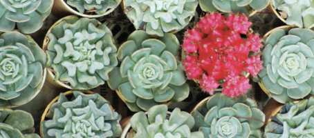 5 Ways to Thrive in the Post-Purchase Landscape