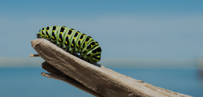 What is ABM, and is it Right for You? (Part 1 of 7) | Alyce AI-Powered Personal Gifting and Swag Platform