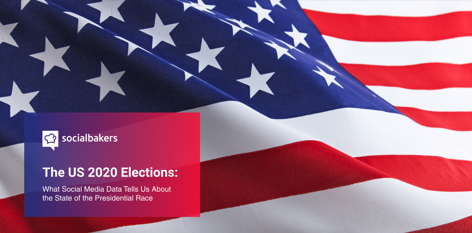 The US 2020 Elections: What Social Data Can Teach Us
