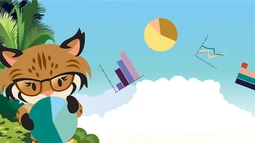 Introducing Consultants and Partner Intelligence on AppExchange