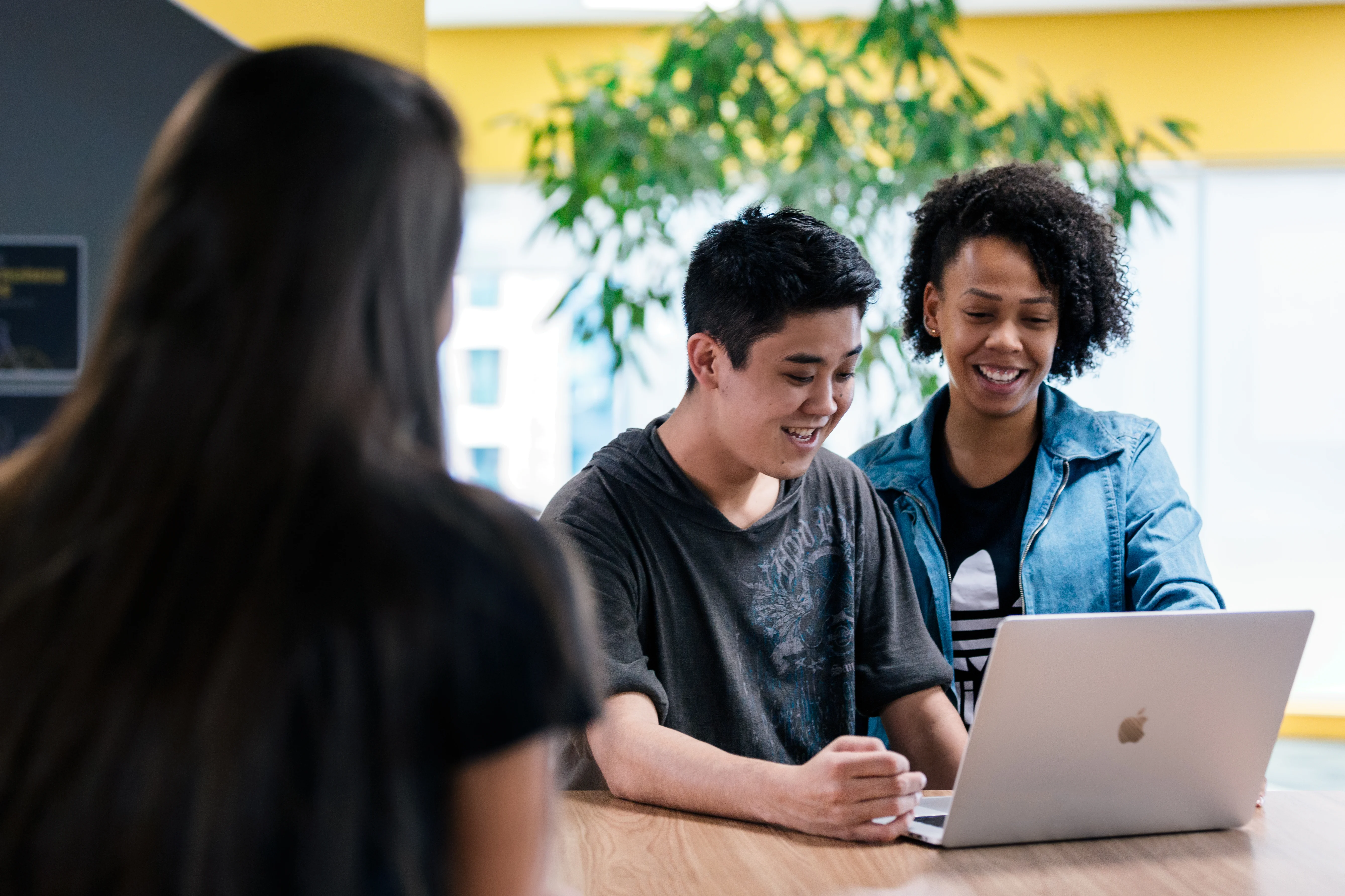 The Types of Business Structures and How To Choose