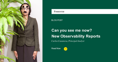 Can You See Me Now? New Observability Reports!