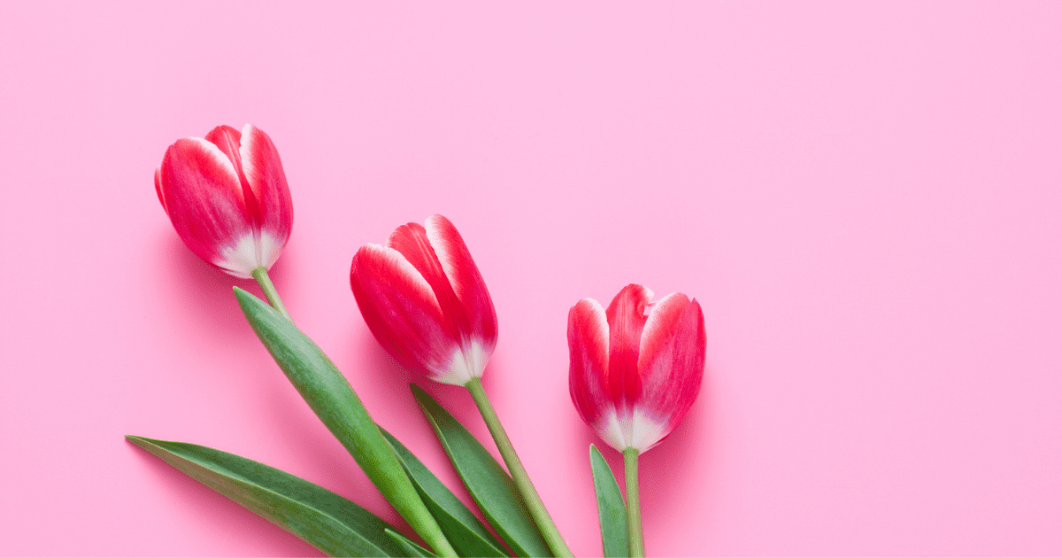 7 Mother's Day Email Marketing Ideas to Drive More Sales