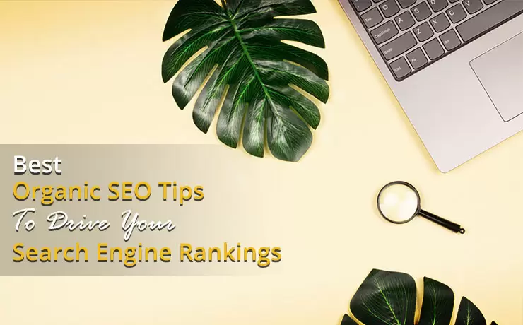 Best Organic SEO Tips To Drive Your Search Engine Rankings