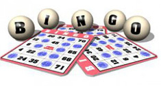 Gulf Coast Bingo - Daily SMS Interaction