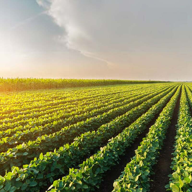 Agriconomie | SugarCRM UK