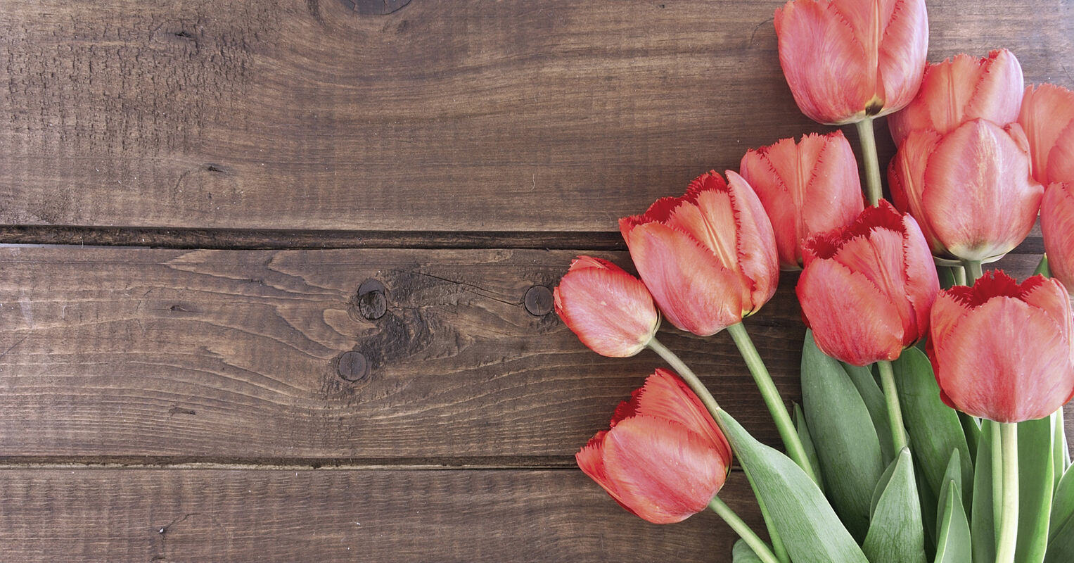 There's a whole lot of love for mom | dotdigital blog