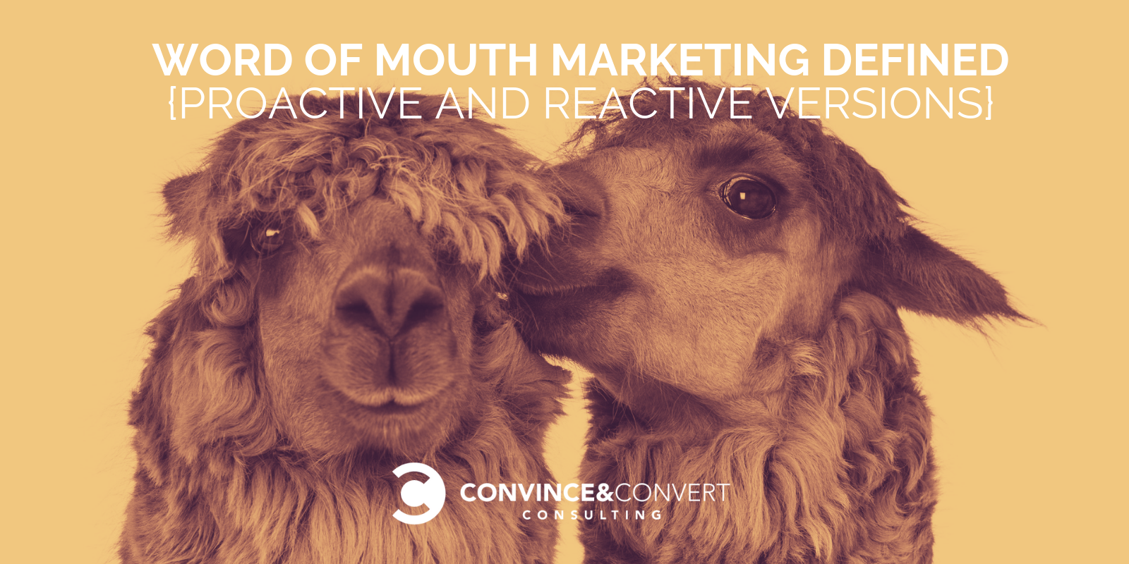 Word of Mouth Marketing Defined {Proactive and Reactive Versions}