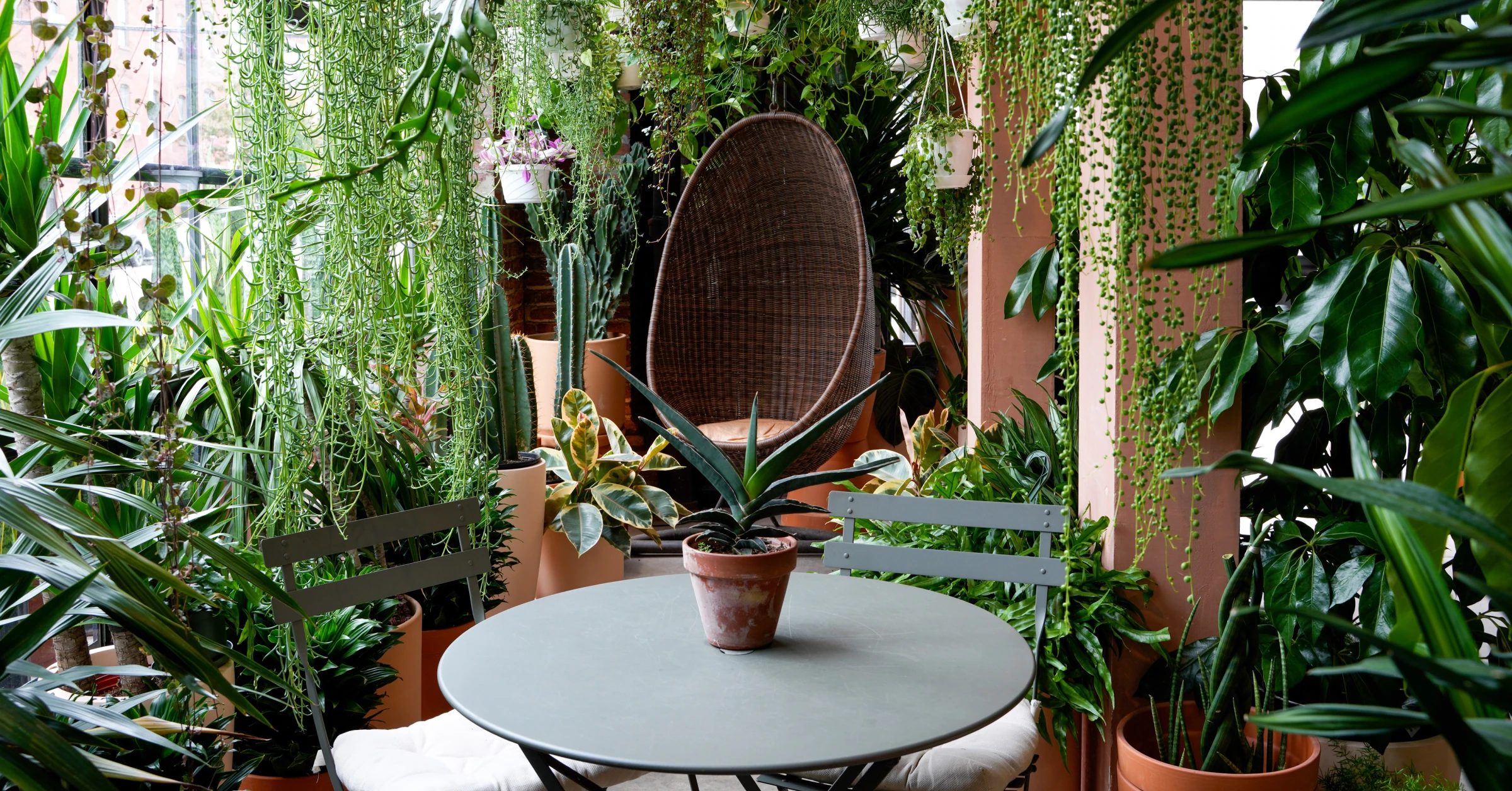 Greenery Unlimited Blooms Into a 6-Figure Business With Shopify Fulfillment Network