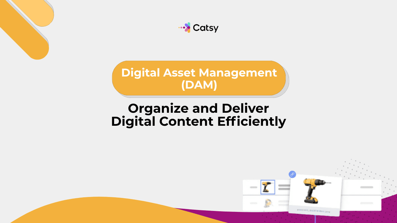 Digital Asset Management (DAM): Organize and Deliver Digital Content Efficiently
