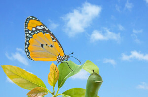 5 Ways for CMOs to Lead Change - Allocadia