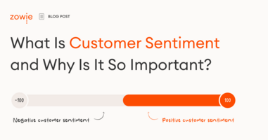 What Is Customer Sentiment and Why Is It So Important?