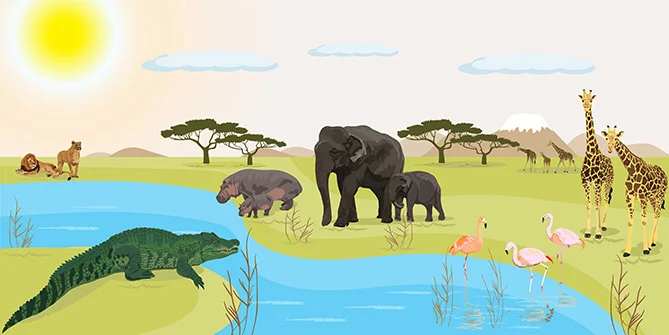 Building a Technology Ecosystem: What You Need to Know