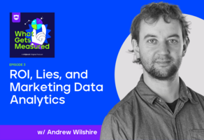 ROI, Lies, and Marketing Data Analytics