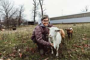 No niche too small - Kit