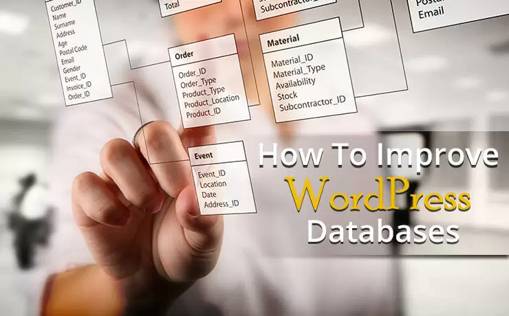 How to Improve WordPress Databases
