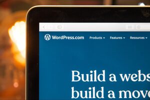 How Much Coding Skills Does a WordPress Website Require?