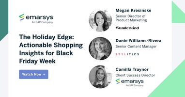 The Holiday Edge: Actionable Shopping Insights for Black Friday Week