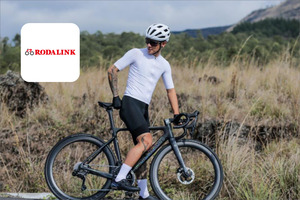 The power of AI increased Rodalink Bike Store conversion rate by 252%