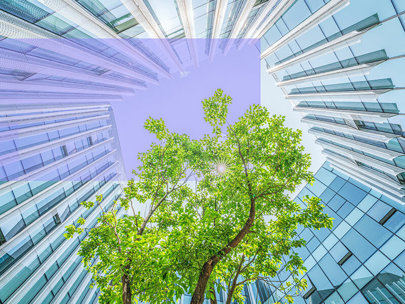 The Bank Branch of the Future: Consumers Prefer Hybrid Experiences