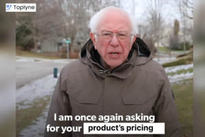 Your Ultimate Guide to a Holistic SaaS Pricing Strategy