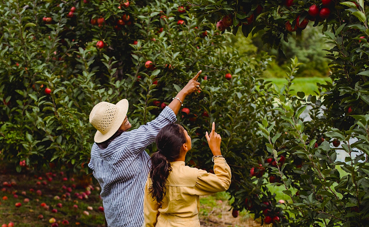 Keyword Crash Course: What Consumers Are Searching for in the Food and Beverage Industry