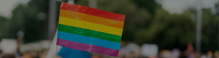 Case Studies | Students For The National Equality March