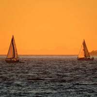 Forr The Planet: Sustainability Interview Series - Atos