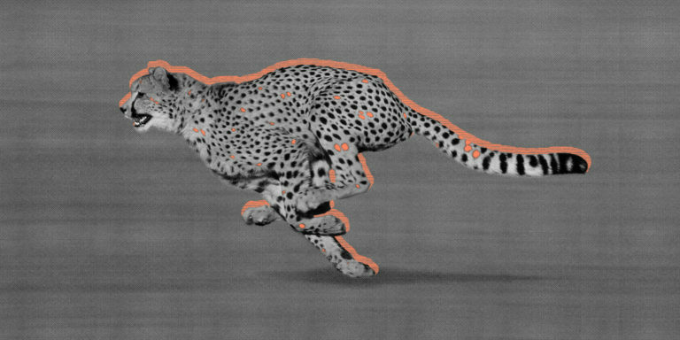 Hidden Trends Plus Quick Time-to-Market: The Other Staples of Achieving True 1:1 Personalization