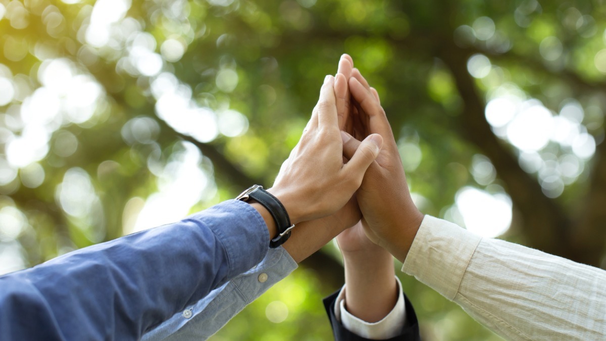 Dotdigital and Provenance partner for sustainable marketing solutions