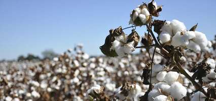 Relationship Management Platform For Fast-Growing Startup Succeeds