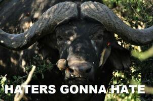 How to Reduce Your Cost Per Conversion by 16-80% (Sorry, Haters, Quality Score Still Matters)